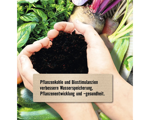 Hände halten Pflanzerde umgeben von Gemüse zur Förderung des Pflanzenwachstums