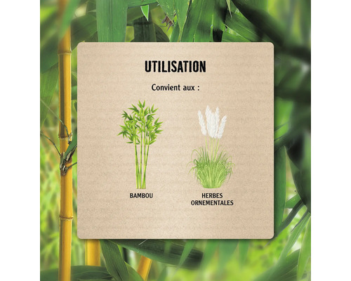 Informations d''utilisation avec du bambou et des graminées ornementales