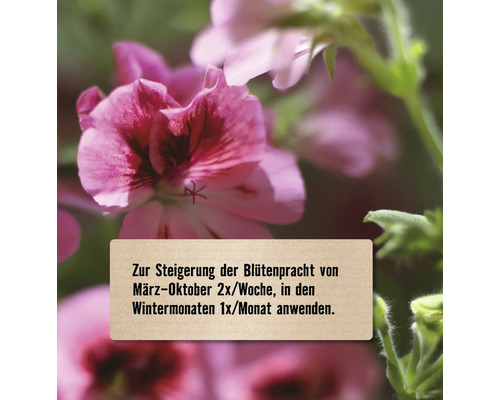 Hinweis zur Anwendung zur Steigerung der Blütenpracht