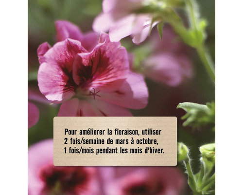 Conseils d''application pour améliorer la floraison