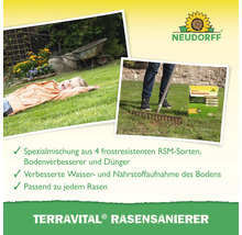 Utilisation du produit de rénovation de gazon TerraVital avec un enfant sur la pelouse et une personne avec un râteau.