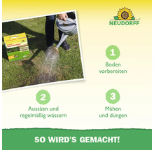 Instructions pour la rénovation de pelouse avec emballage du produit, arrosoir et les étapes : préparer le sol, semer et arroser régulièrement, tondre et fertiliser. Logo Neudorff.