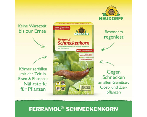 Ferramol Schneckenkorn Packung zum Schutz von Gemüse-, Obst- und Zierpflanzen vor Schnecken