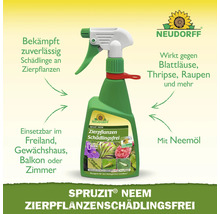 Neudorff Spruzit Neem Schädlingsfrei für Zierpflanzen in einer Sprühflasche