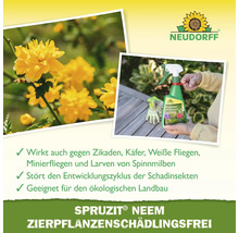 Neudorff Logo. Zierpflanzen Schädlingsfrei Sprüzit Neem gegen Zikaden, Käfer, Weiße Fliegen, Minierfliegen und Larven von Spinnmilben.