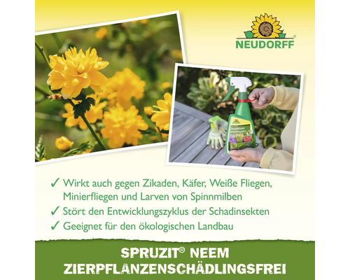 Logo Neudorff. Sprüzit Neem antiparasitaire pour plantes ornementales contre les cicadelles, les coléoptères, les mouches blanches, les mineuses et les larves d''araignées rouges.
