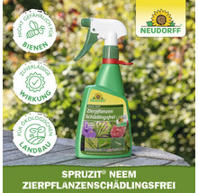 Neudorff Spruzit Neem Schädlingsfrei für Zierpflanzen