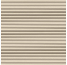 Store plissé beige pour fenêtre