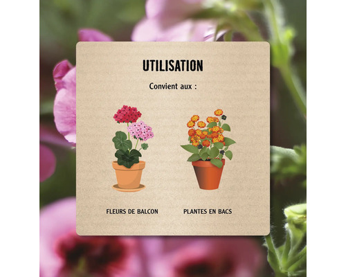 Informations sur l''utilisation avec des fleurs de balcon et des plantes en bacs