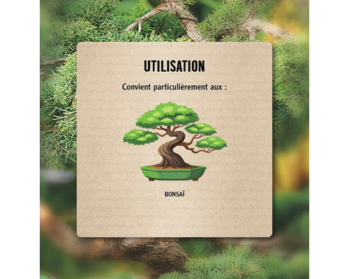 Informations sur l''utilisation du bonsaï