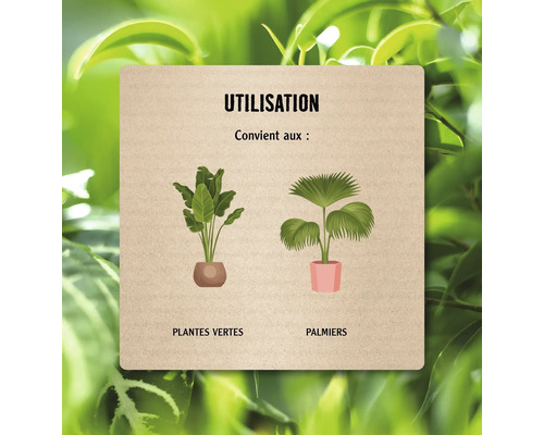 Convient aux plantes vertes et aux palmiers.