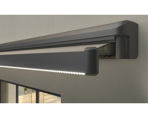 Store banne à coffre intégral 3,5x2,5 motif de la toile 5836 (Berry) châssis DB703 gris foncé moteur à droite y compris éclairage LED (barre de charge), télécommande Store banne à coffre intégral 3,5x2,5 motif de la toile 5836 (Berry) châssis DB703 gris foncé moteur à droite y compris éclairage LED (barre de charge), télécommande