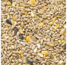 Gros plan d''aliments pour oiseaux avec des céréales et des graines de tournesol