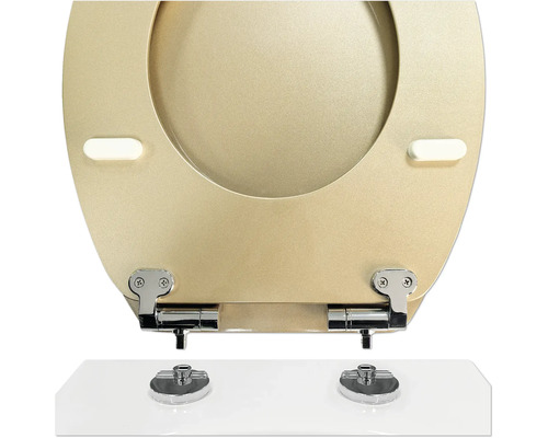 Toilettensitz aus Holz mit Chrombeschlägen