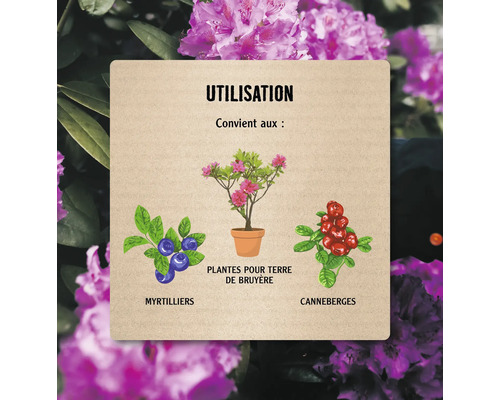 Informations sur l''utilisation des plantes pour terre acide, des myrtilles et des canneberges