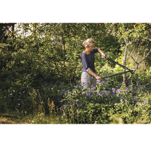 Frau schneidet Baum mit einer Gartenschere im Garten.