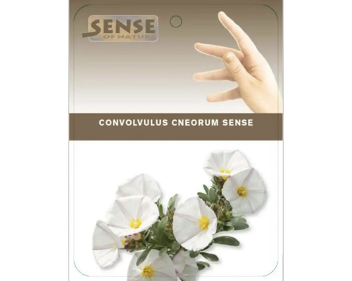 Verpackung von Convolvulus cneorum Sense Blumensamen