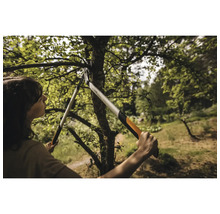 Une femme taille un arbre avec un ébrancheur