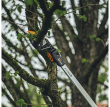 Élagueuse coupant une branche dans un arbre