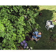 Un homme coupe des branches avec un sécateur dans un jardin.