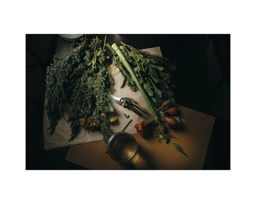 Gartenschere mit frischen Blumen und Grünpflanzen