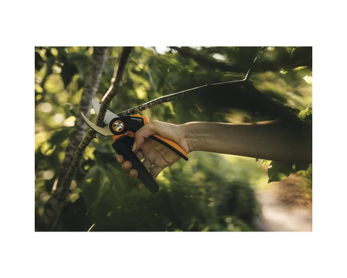 Eine Person schneidet mit einer Gartenschere einen Ast ab.