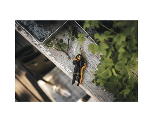 Gartenschere auf Holzuntergrund mit abgeschnittenem Ast