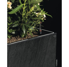 Jardinière avec plante et système d''irrigation