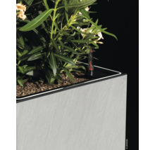 Pot de fleurs avec système d''irrigation et plante