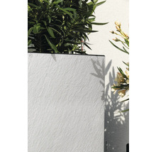 Jardinière avec plantes et indicateur de niveau d''eau