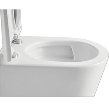 Detailansicht einer wandhängenden Toilette mit geöffnetem Toilettendeckel.