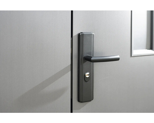 Porte avec poignée de porte et serrure
