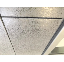 Abgehängte Decke mit Deckenplatten