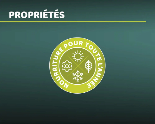 Convient pour l''alimentation tout au long de l''année.