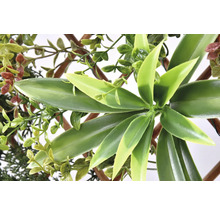 Plante artificielle avec des feuilles vertes et un cadre en bois
