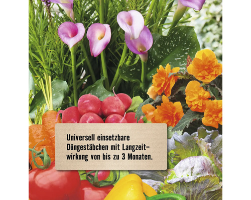 Langzeit-Düngestäbchen für universelle Anwendungen mit einer Wirkungsdauer von bis zu 3 Monaten.