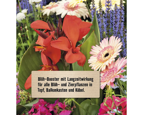 Blumengarten mit verschiedenen blühenden Pflanzen und einem Schild mit dem Text: Blüh-Booster mit Langzeitwirkung für alle Blüh- und Zierpflanzen in Topf, Balkonkasten und Kübel.