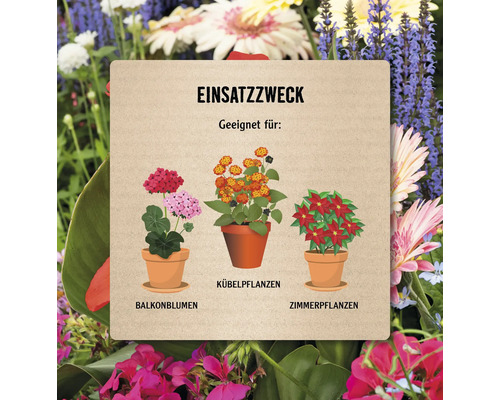 Informationstafel mit Anwendungszweck für Balkonblumen, Kübelpflanzen und Zimmerpflanzen