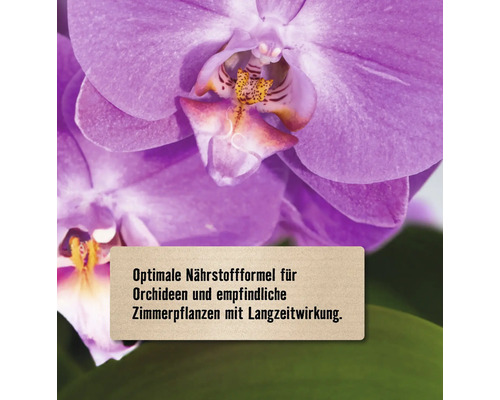 Nahaufnahme einer lila Orchideenblüte mit Text: Optimale Nährstoffformel für Orchideen und empfindliche Zimmerpflanzen mit Langzeitwirkung