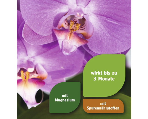 Nahaufnahme einer lila Orchidee mit dem Hinweis auf Magnesium und Spurennährstoffe, die bis zu drei Monate wirken.