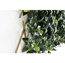 Mur végétal artificiel vert avec cadre en bois