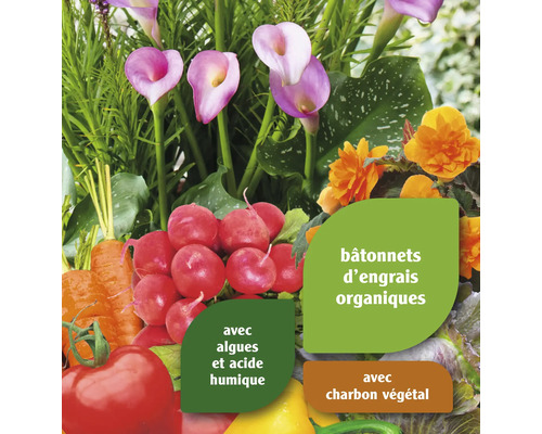 Potager avec fleurs et bâtonnets d''engrais organiques pour légumes