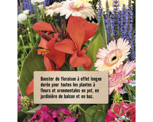 Arrangement floral avec des fleurs rouges et des feuilles vertes