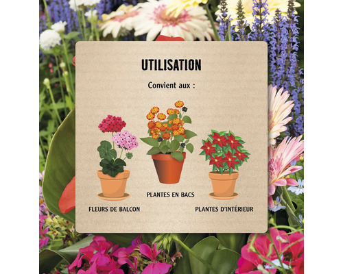 Informations sur l''utilisation des plantes de balcon, en pot et d''intérieur