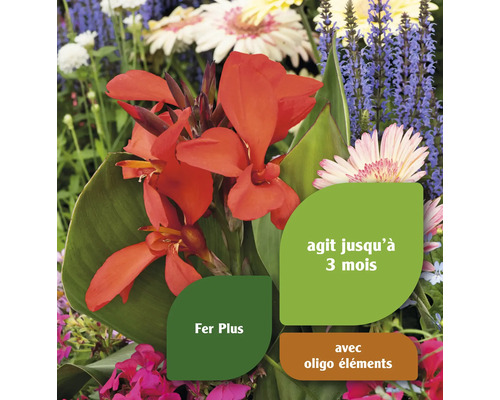 Arrangement floral avec des informations sur les additifs d''engrais