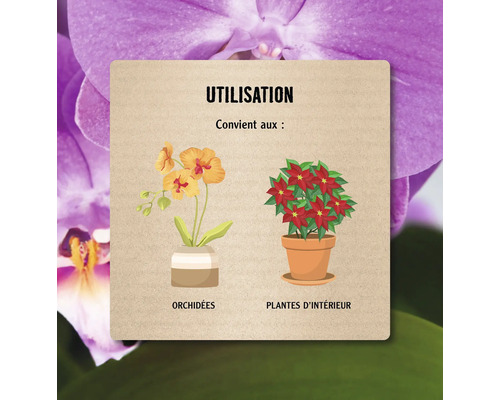 Illustration de l''utilisation pour les orchidées et les plantes d''intérieur