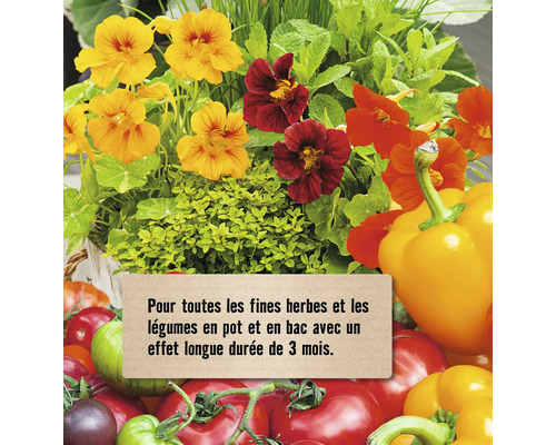 Fleurs et légumes en pots et en bacs