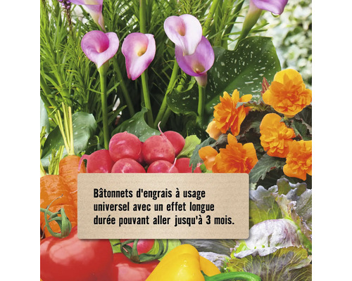 Potager avec bulbes, radis, carottes, tomates, poivrons et bâtonnets d''engrais