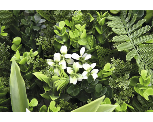 Mur végétal artificiel avec diverses feuilles vertes et fleurs blanches.
