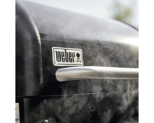 Logo Weber sur un barbecue